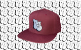 PS SNAPBACK