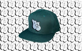 PS SNAPBACK